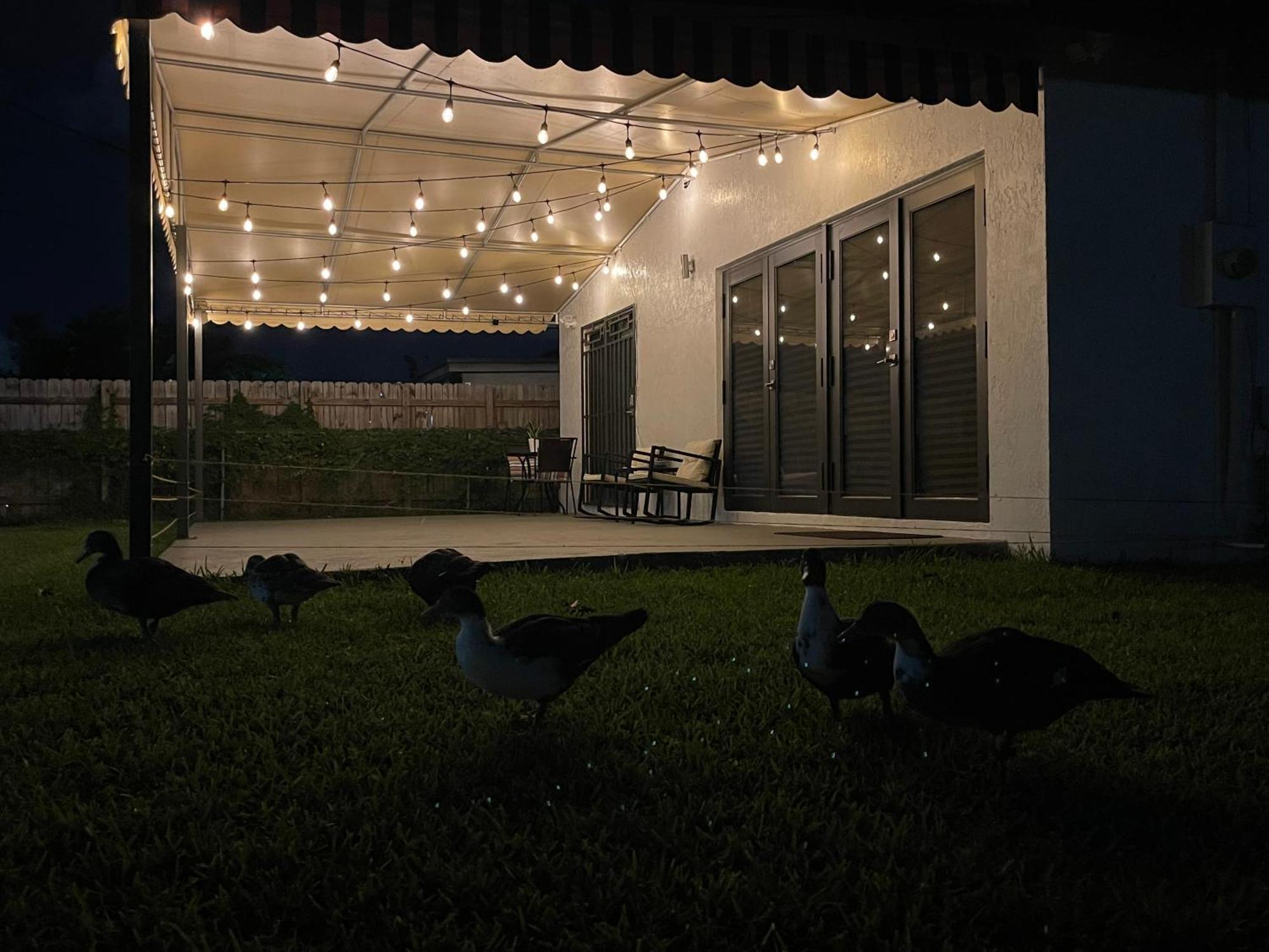 Lyz Miami Ξενοδοχείο Coral Gables Εξωτερικό φωτογραφία